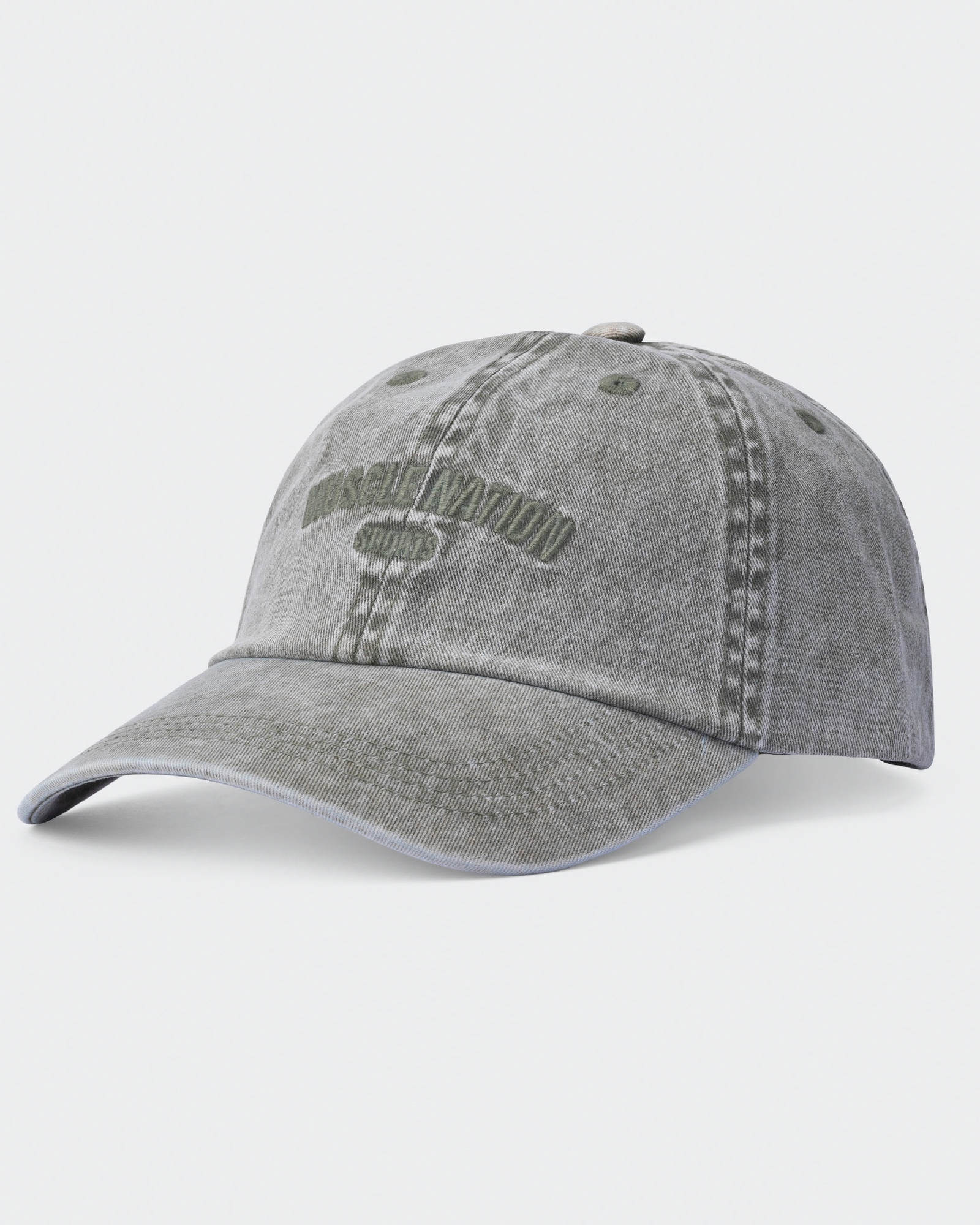 Distressed Dad Cap
